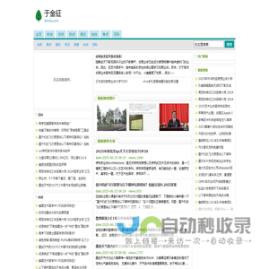 于金征